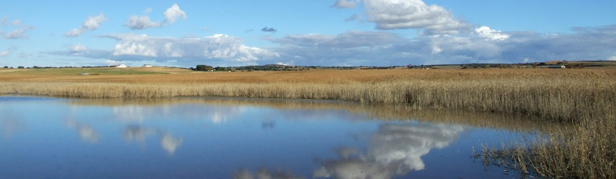 “La laguna de El Hito»