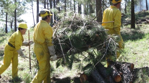 La empresa pública GEACAM apuesta por la estabilidad laboral durante todo el año en prevención y extinción de incendios forestales