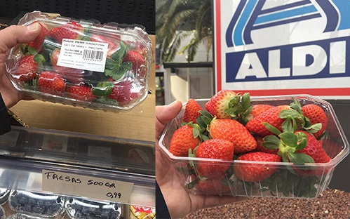 UPA y la Diputación de Huelva llenarán de fresas el Parque de Santa Ana de Cuenca