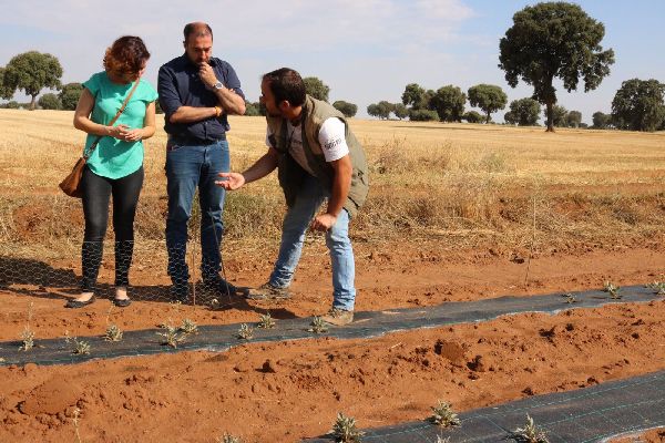 Orlena De Miguel: “Este es un claro ejemplo de lo importante que es la conjugación de la agricultura con la innovación para luchar contra problemas como la despoblación en el medio rural”