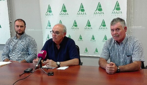 Asaja señala que el nuevo aumento del SMI  hasta los 950 euros resulta inasumible para el sector agrario
