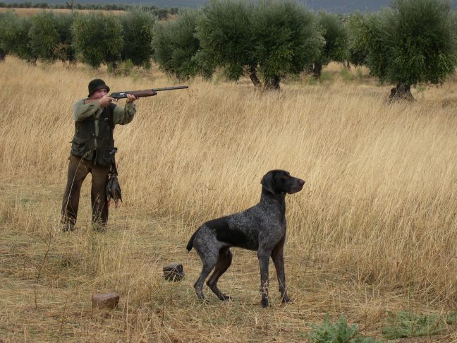 El Gobierno de Castilla-La Mancha obligado a anular definitivamente el reglamento de caza tras la demanda judicial de Ecologistas en Acción.