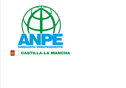ANPE reivindica y pone en valor el esfuerzo, la entrega y la vocación con la que el personal docente desempeña su labor, su aportación a la sociedad y reclama mejores condiciones sociolaborales