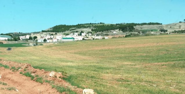 ASAJA Cuenca alerta de los efectos irreversibles de la sequía en el cereal si no llueve en unos días