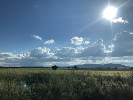 Castilla-La Mancha abona este viernes más de cinco millones de ayudas de la PAC correspondientes al pago básico, pago verde y de jóvenes agricultores