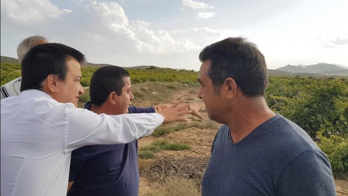 El Gobierno regional va a pedir al Ministerio de Hacienda la reducción de módulos para la declaración de la renta de los agricultores afectados por la gota fría