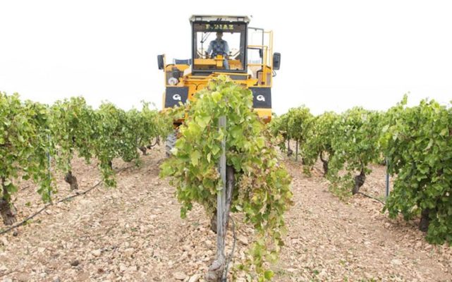 Castilla-La Mancha inicia el día 16 el pago de 348 millones de la PAC correspondiente a pago básico, verde y régimen de jóvenes agricultores