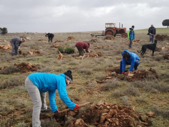 Almendros planta 750 árboles el día de la lotería «porque en la vida, además de suerte, hay que tener salud”