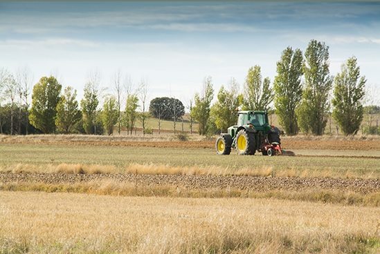 ¿Cómo proteger el suelo para una agricultura sostenible?