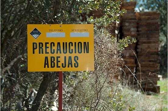UPA denuncia el “caos” que impera en el sector apícola: “Hay que actuar ya”