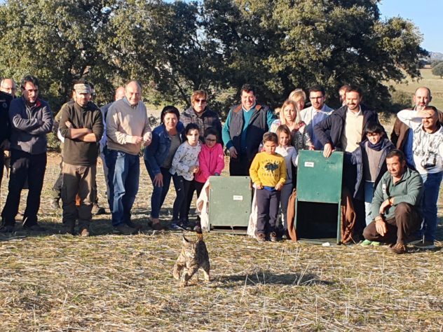 Castilla-La Mancha liberará ocho linces ibéricos en los primeros meses de 2020 en las zonas de reintroducción, Sierra Morena Oriental y Montes de Toledo