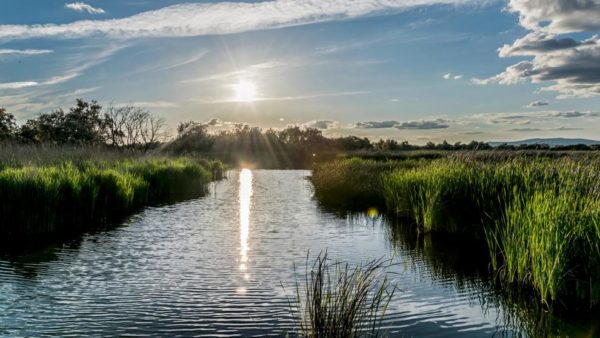 La Comisión Mixta de Gestión de los Parques Nacionales de Castilla-La Mancha acuerda detener el bombeo de agua a Las Tablas de Daimiel tras garantizar la saturación de las turbas