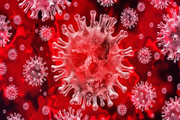La provincia de Cuenca 5 fallecidos más en esta jornada y el número de casos por Covid-19 aumenta en 95, la mitad que ayer, en el hospital de Cuenca hay 15 personas ingresadas con Coronavirus.