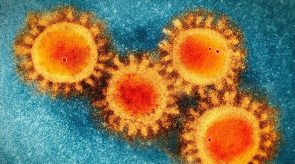 La provincia de Cuenca suma 6 nuevos casos por Coronavirus en esta jornada y 1 fallecido en las últimas 24 horas