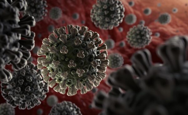 La provincia de Cuenca acumula 2.202 casos de Coronavirus 90 nuevos en las últimas 24 horas y el número de fallecidos es de 268, 6 más desde ayer, el número de hospitalizados es de 28.