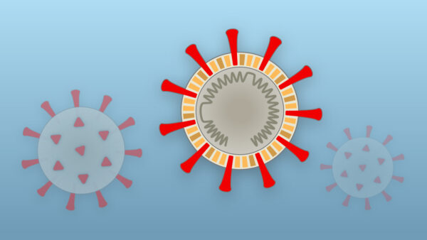 La provincia de Cuenca libre de nuevos casos por Coronavirus y sigue sin fallecidos, mientras que Castilla La Mancha registra 22 casos nuevos