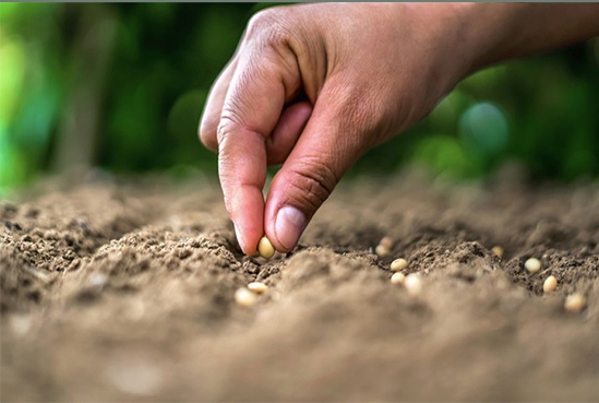 UPA: “La erosión del suelo es el principal de problema de la mayoría de los agricultores en España”