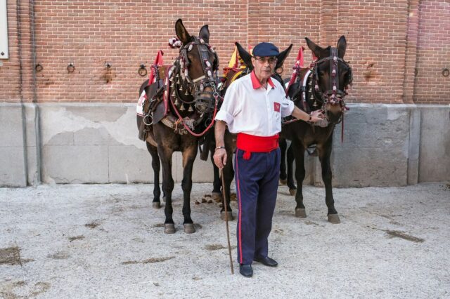 Julián Fidecaya «In Memoriam»