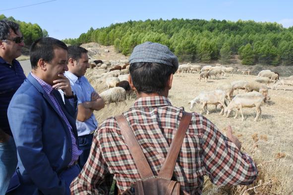 Este viernes se abonan cerca de 5 millones de euros en ayudas a agricultores y ganaderos, entre ellas, los más de 1,8 millones al pastoreo