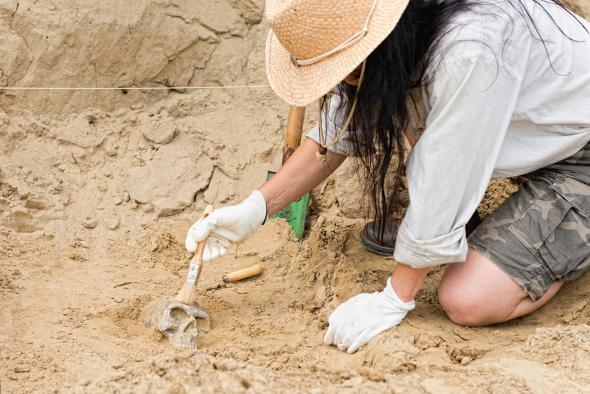 Castilla-La Mancha organiza diferentes actividades a lo largo de la semana para celebrar el Día de la Arqueología