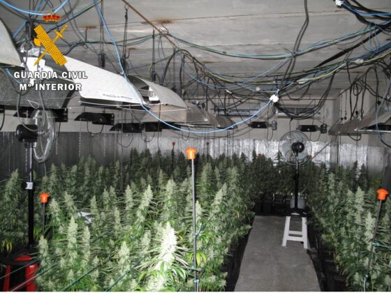 La Guardia Civil ha desmantelado un cultivo intensivo de marihuana después de que éste provocara un apagón de luz