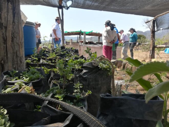 Adiman desarrolla dos proyectos humanitarios en Bolivia con el apoyo de la Junta y la Diputación de Cuenca