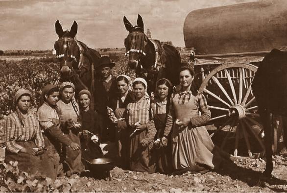 Castilla La Mancha conmemora el Día de la Fotografía con una exposición virtual de una selección de instantáneas del Archivo de la Imagen de la región