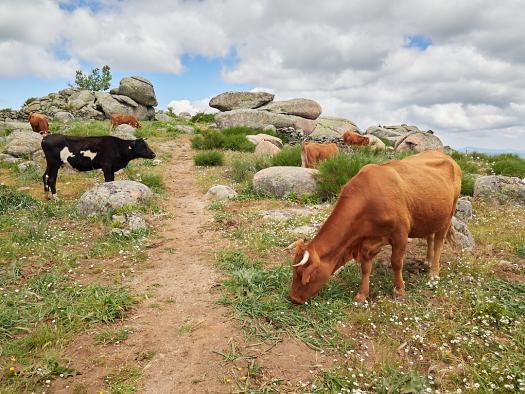 El ritmo de pagos a la agricultura ecológica no se ha visto frenado por la COVID, habiéndose abonado más de 30 millones de euros en el primer semestre