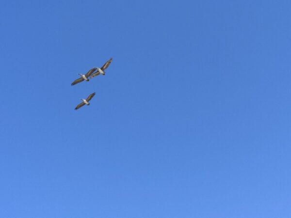Día Internacional del Aire Limpio por un cielo azul. Ecologistas en Acción pide protocolos frente a los episodios de contaminación