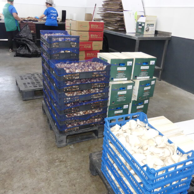 Ceoe Cepyme Cuenca destaca que la economía conquense se sostiene en parte con las exportaciones que crecen un 10%