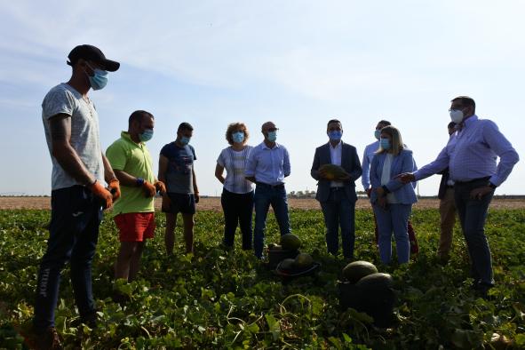 Castilla-La Mancha, líder nacional en melón y sandía, gracias al uso eficiente del agua que hace rentable las explotaciones y genera empleo