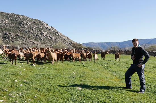 Una llamada a la acción desde los pueblos: “que la pandemia no sea la excusa para frenarnos”
