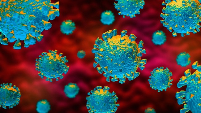 La provincia de Cuenca registra hoy 56 nuevos casos por Coronavirus, y 1 fallecimiento, hay 24 pacientes ingresados y 3 en cuidados intensivos