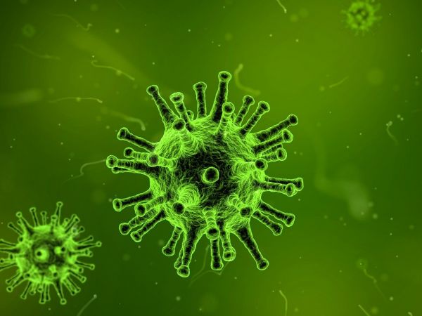 La provincia de Cuenca anota 71 nuevos contagios por Covid en esta jornada, hay 72 pacientes ingresados y 9 en cuidados intensivos
