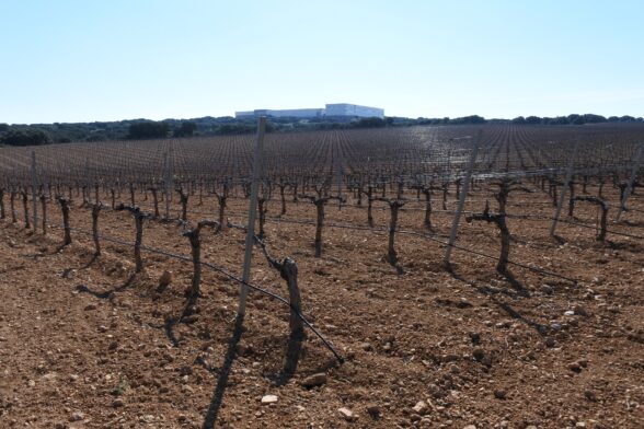La Junta  ha abonado más de 72 millones de euros del anticipo de la PAC a más de 15.000 beneficiarios de la provincia de Cuenca