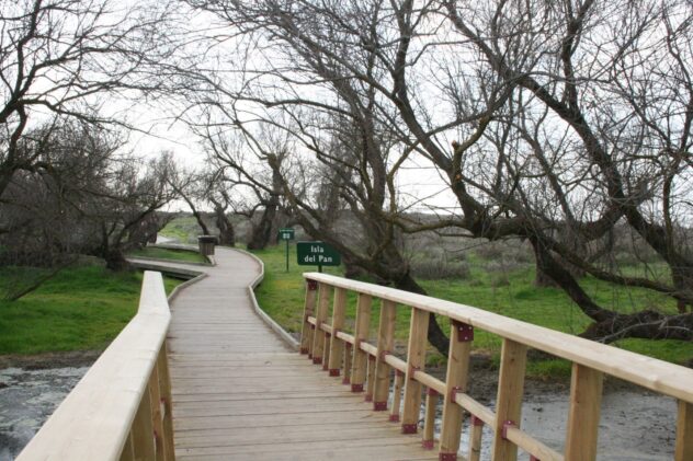 El Patronato del P.N. las Tablas de Daimiel reclama actuaciones urgentes para su conservación