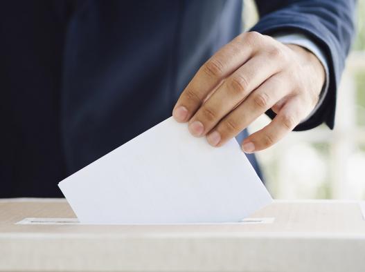 La Junta convoca para el día 2 de diciembre las votaciones para la elección y renovación de los Consejos Escolares