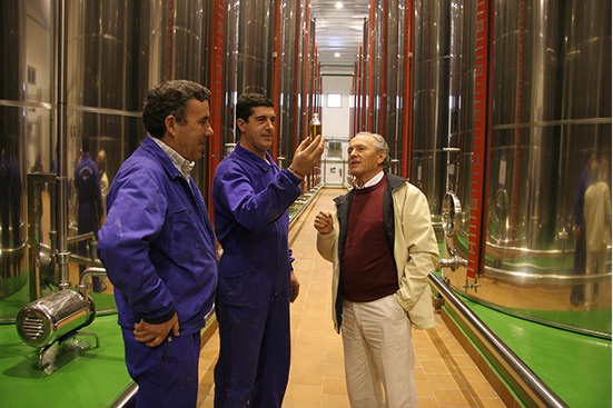 UPA: “Debemos regular el mercado del aceite para salvar el olivar tradicional”