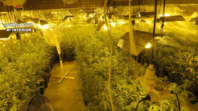 La Guardia Civil ha detenido dos personas y ha desmantelado un cultivo intensivo de marihuana en El Casar de Escalona