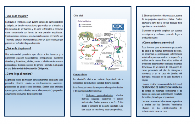 Castilla-La Mancha difunde un tríptico con recomendaciones sobre cómo prevenir la triquinosis