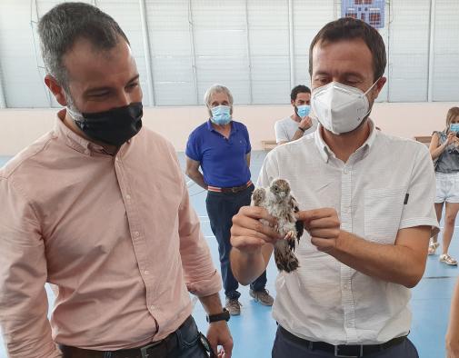 La Junta declara la Zona Especial de Protección para las aves de cernícalo primilla en dos iglesias en Almodóvar del Campo y en su pedanía Tirteafuera, en Ciudad Real