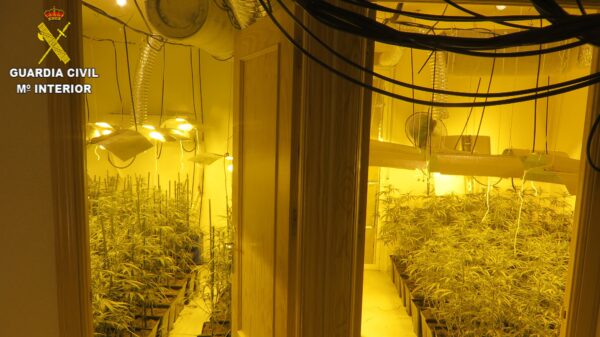 La Guardia Civil ha detenido a cuatro personas e investigados a otras cinco por delitos de elaboración/cultivo de drogas, defraudación en el suministro de agua y defraudación de fluido eléctrico