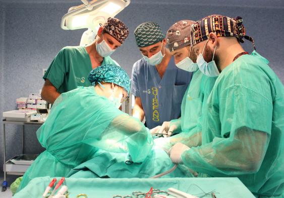 La Gerencia de Atención Integrada de Albacete forma a residentes y facultativos de Urología en extracción y trasplante renal
