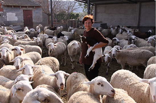 Conquista histórica de los pequeños agricultores y ganaderos. “Al fin podremos hacer venta directa con garantías”