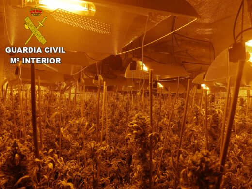 La Guardia Civil ha detenido a un hombre en Ciruelos por un delito de cultivo de estupefaciente y defraudación de fluido eléctrico