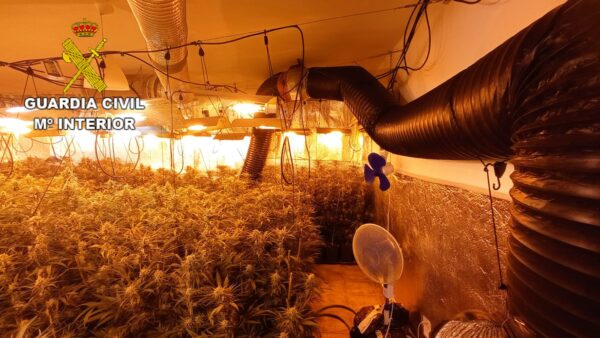 La Guardia Civil ha detenido a tres personas por un delito de cultivo de estupefacientes