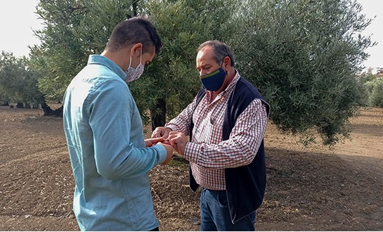 UPA reclama una apuesta firme en 2021 por el ‘erasmus agrario’ para jóvenes agricultores