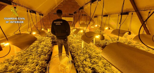 La Guardia Civil ha detenido a dos personas en Albarreal de Tajo por cultivo o elaboración de estupefacientes