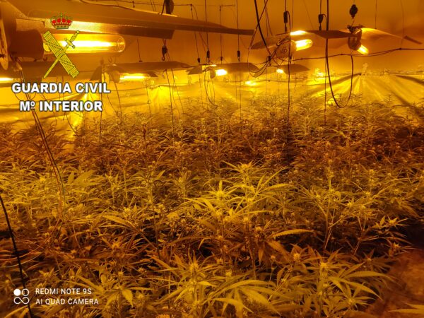 La Guardia Civil ha detenido a un hombre en Torrecilla de la Jara por un delito contra la salud pública