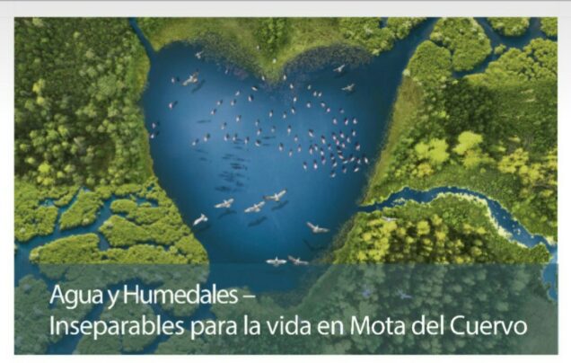 ¡Desastre en los humedales manchegos!